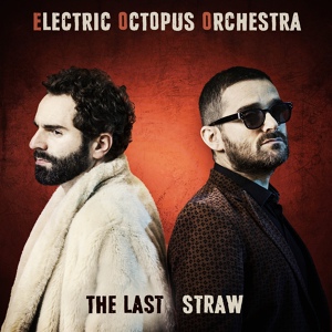 Обложка для Electric Octopus Orchestra - The Last Straw