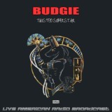 Обложка для Budgie - Rocking Man