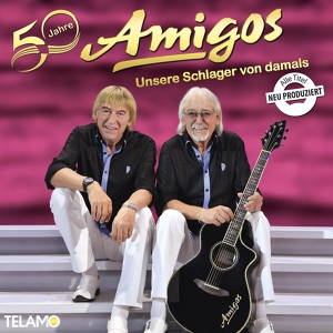 Обложка для Amigos - Partykönigin