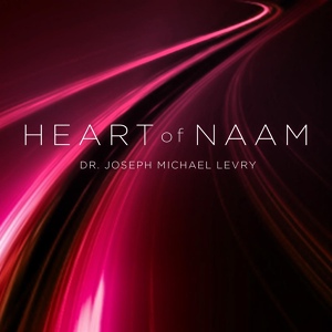 Обложка для Dr. Joseph Michael Levry - Soulful Wahe Guru