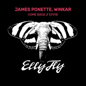 Обложка для James Ponette, Winkar - Come Back (Instrumental Mix)