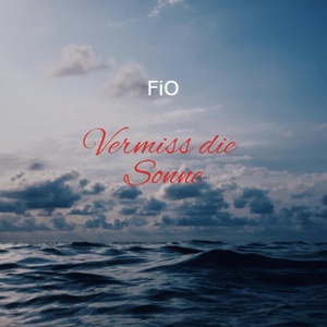 Обложка для FiO - Vermiss Die Sonne