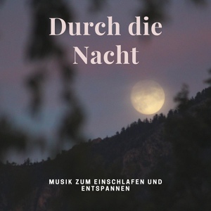 Обложка для Mark Nacht - Durch die Nacht