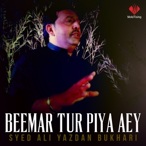 Обложка для Syed Ali Yazdan Bukhari - Beemar Tur Piya Aey