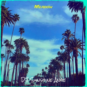 Обложка для DJ Sunshine Ange - Meadow
