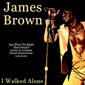 Обложка для James Brown - I Walked Alone