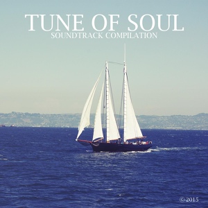 Обложка для Tune of Soul - Flying (Original Mix)