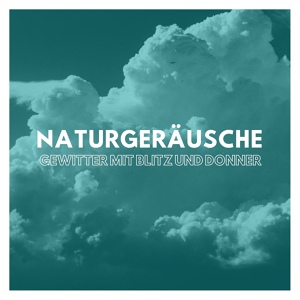 Обложка для Achtsamkeit Meditationsmusik,Entspannung Natur Phantasiereise - Leichte Briese