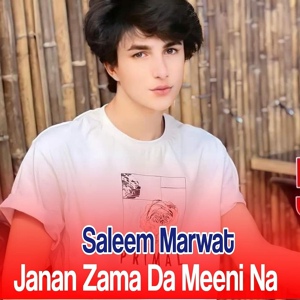 Обложка для Saleem Marwat - Nadanay Lelay Saleem dey tal Arman Ka wena