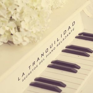 Обложка для Relajante Música de Piano Oasis - Vino de la Tarde