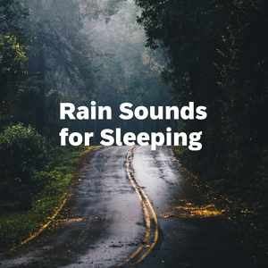 Обложка для Nature Records - Rain Sound Effect