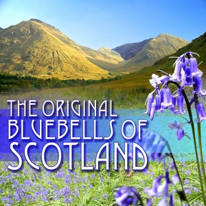 Обложка для The Scottish Fiddle Orchestra - The Bluebells of Scotland