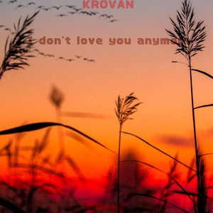 Обложка для E1V4G - I Don't Love You Anymore (feat. Krovan)