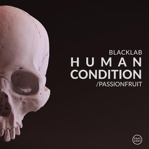 Обложка для Blacklab - Human Condition