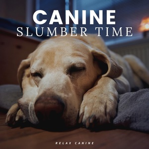 Обложка для Calm Dog Music - Healthy Canine