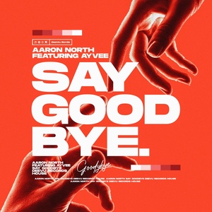 Обложка для Aaron North feat. Ayvee - Say Goodbye