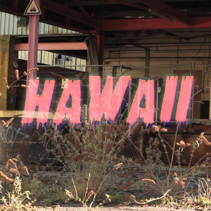 Обложка для Baconhead - Hawaii
