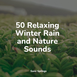 Обложка для Sounds of Nature, Relaxing Nature Ambience, Bedtime Baby - White Noise Rainy Forest