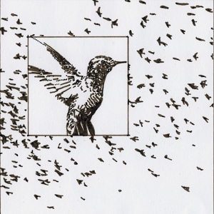 Обложка для Scott James - Hummingbird