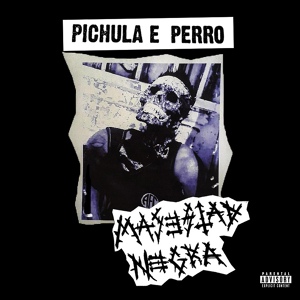 Обложка для Pichula E Perro - Skizofrenia Punk