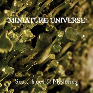Обложка для Miniature Universe - The Wheel