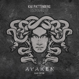 Обложка для Kai Pattenberg - Connect