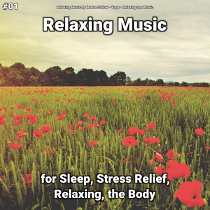 Обложка для Relaxing Music by Marlon Sallow, Yoga, Relaxing Spa Music - Soft Ambient Sounds for Serene Sleep