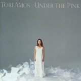 Обложка для Tori Amos - The Wrong Band