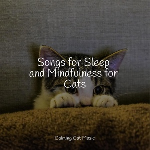 Обложка для RelaxMyCat, Calm Music for Cats, Official Pet Care Collection - Sea Whispers