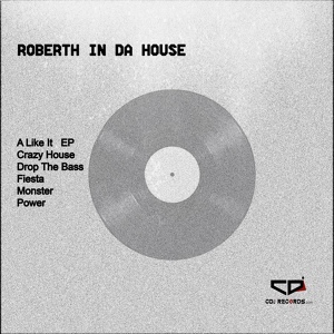 Обложка для Roberth In Da House - Power