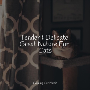 Обложка для Jazz Music Therapy for Cats, Jazz Music for Cats, Official Pet Care Collection - Calm Spa Music