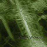 Обложка для Shape Of Despair - ...In The Mist