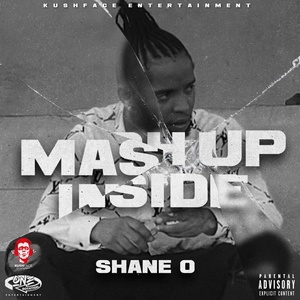 Обложка для Shane O - Mash up Inside
