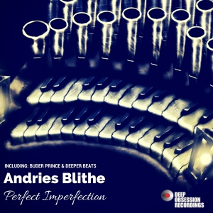 Обложка для Andries Blithe - Perfect Imperfection