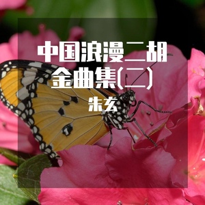 Обложка для 朱玄 - 蓝鸟