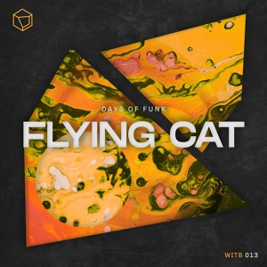 Обложка для Days of Funk - Flying Cat - Agraba In The Box Remix