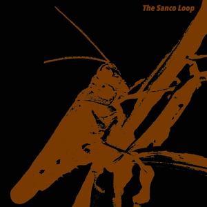 Обложка для The Sanco Loop - Faraday Cage