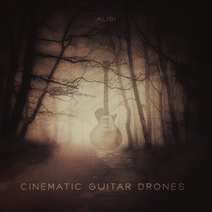 Обложка для ALIBI Music - Into the Shadows