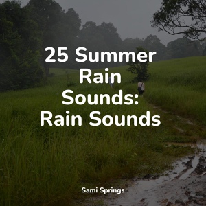 Обложка для Nature Sounds for Sleep and Relaxation, Natureza, FX & Effects - Sounds of Rain and Thunder