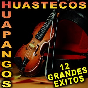 Обложка для Huapangos Huastecos, Los Regionales Huastecos - Mi Tinajita