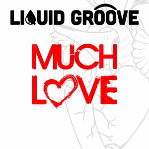 Обложка для Liquid Groove - The Light of the Intellect