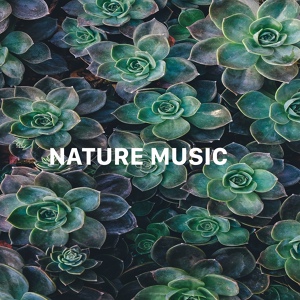 Обложка для Nature Sound Collection, Nature Recordings - Heaven on Earth