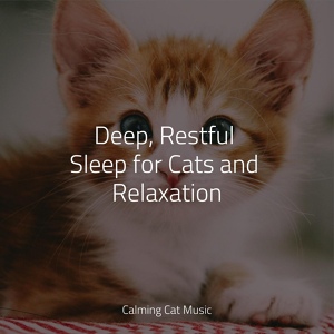 Обложка для Music For Cats TA, Cat Music Experience, Music For Cats - Resting Planets