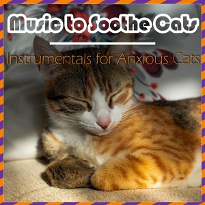Обложка для Relax My Cat, Cat Music Dreams - Mewing Calmly