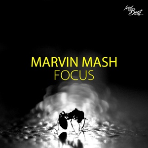 Обложка для Marvin Mash - Focus