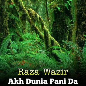 Обложка для Raza Wazir - Hafiza Da Quran