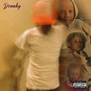 Обложка для 22domg - Donnky