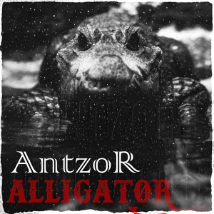 Обложка для AntzoR - Alligator