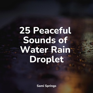 Обложка для ASMR Sleep Sounds, Guided Meditation, Instrumental - Downpour Rain