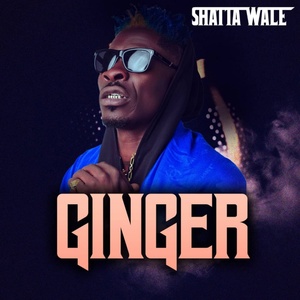 Обложка для Shatta Wale - Ginger (Prod. by MOG Beatz) [vk.com/sme_russia]